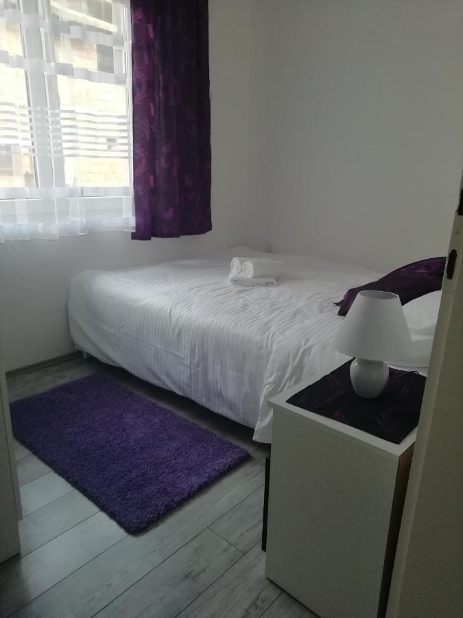 Fenix Apartment & Rooms Vinci المظهر الخارجي الصورة