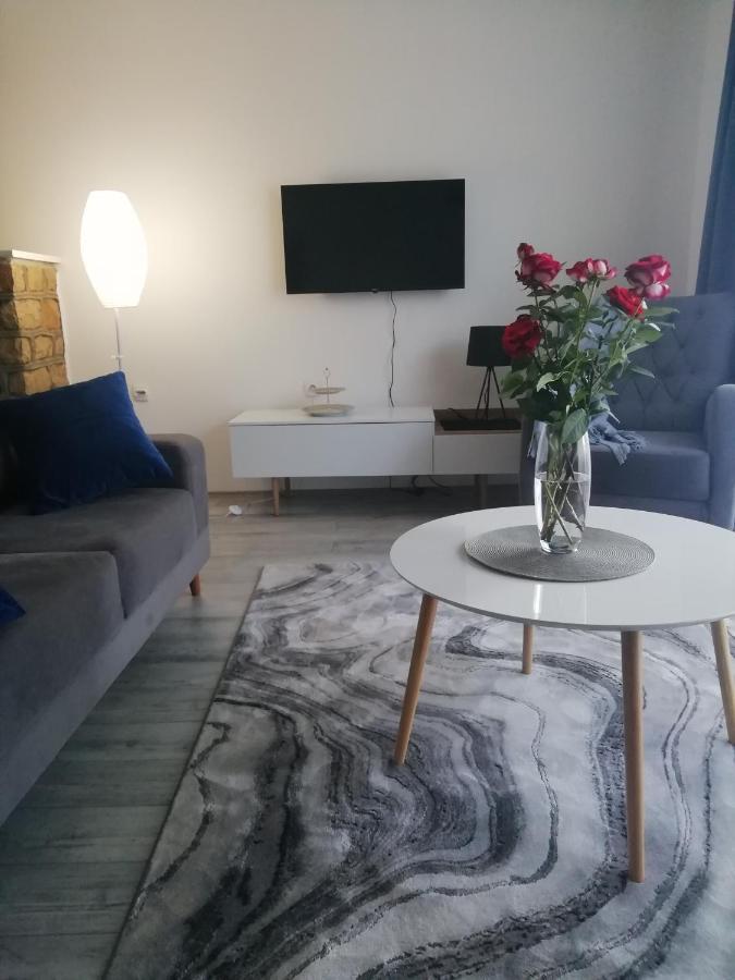 Fenix Apartment & Rooms Vinci المظهر الخارجي الصورة