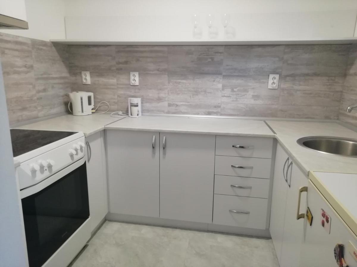 Fenix Apartment & Rooms Vinci المظهر الخارجي الصورة