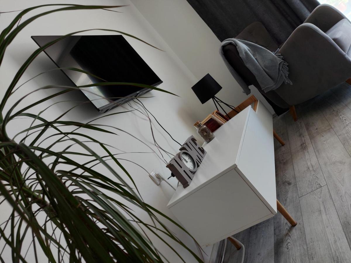 Fenix Apartment & Rooms Vinci المظهر الخارجي الصورة