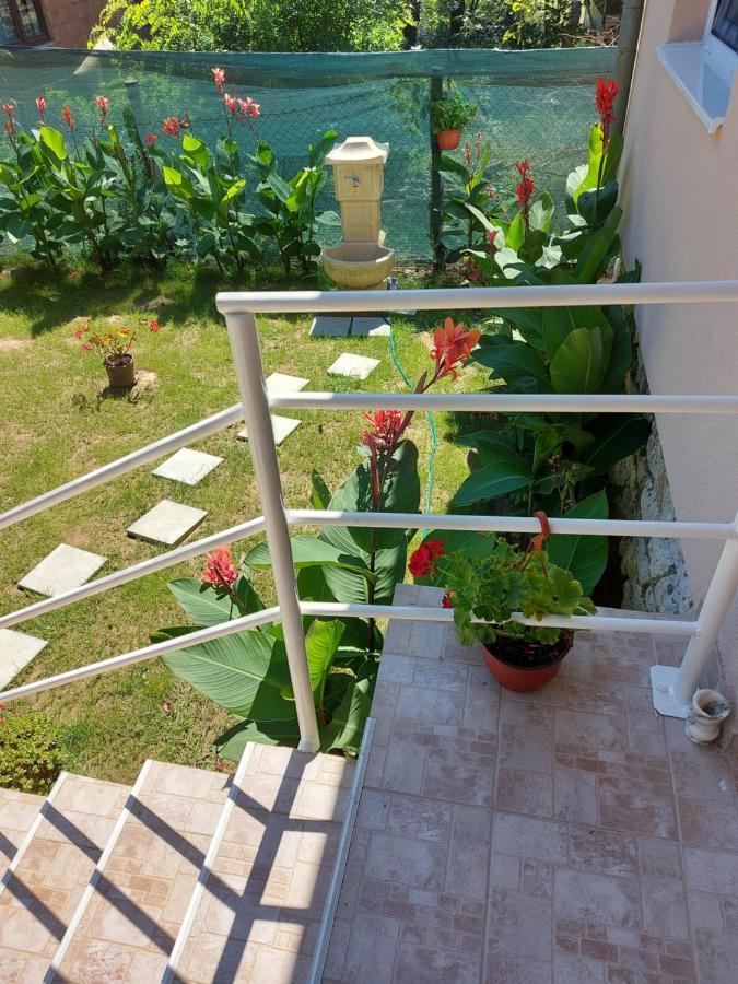 Fenix Apartment & Rooms Vinci المظهر الخارجي الصورة
