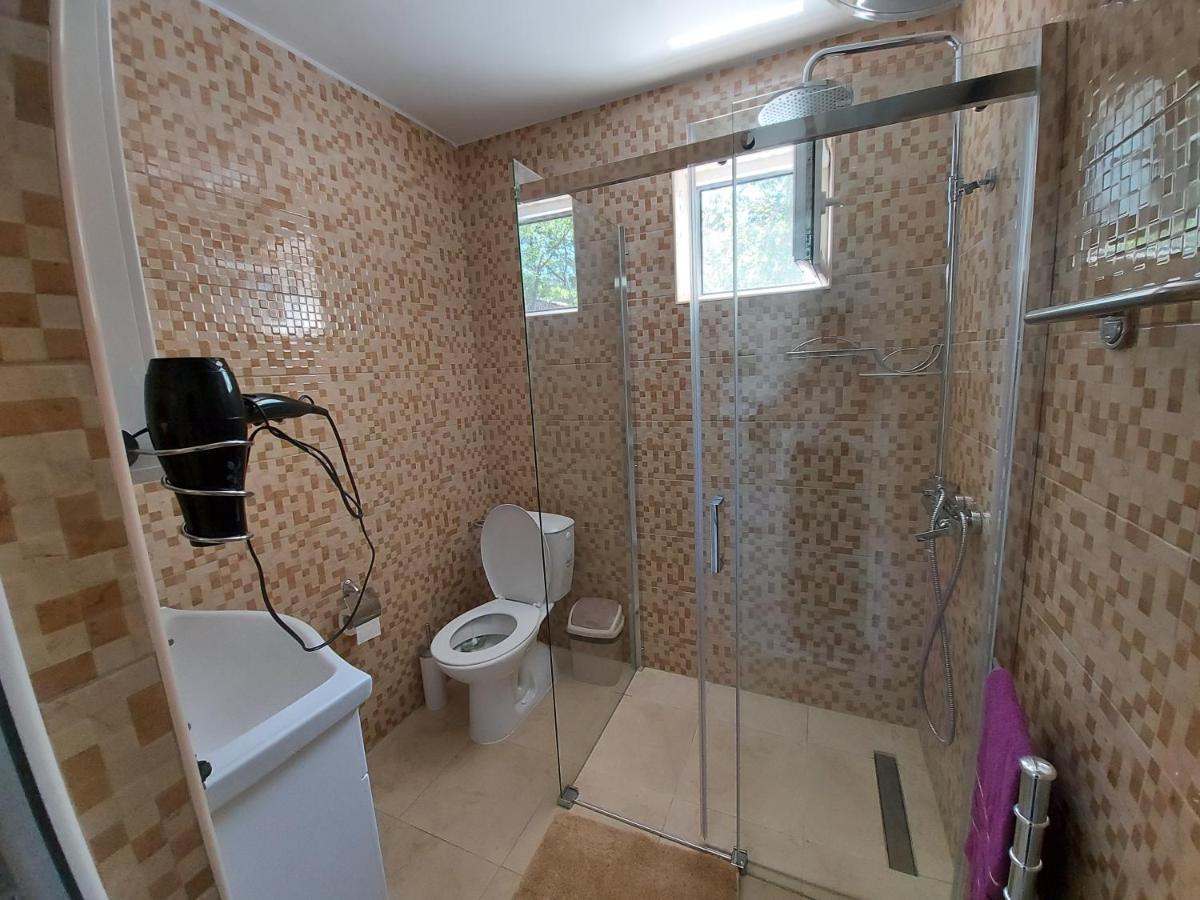 Fenix Apartment & Rooms Vinci المظهر الخارجي الصورة