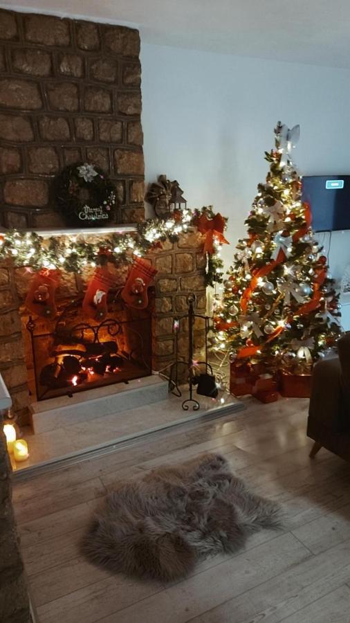 Fenix Apartment & Rooms Vinci المظهر الخارجي الصورة